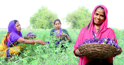 Our Farmer's Story of Radha Mahto family  - Now earning 4 times more!