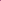 hibiscus tea bag