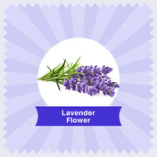 lavender tea price