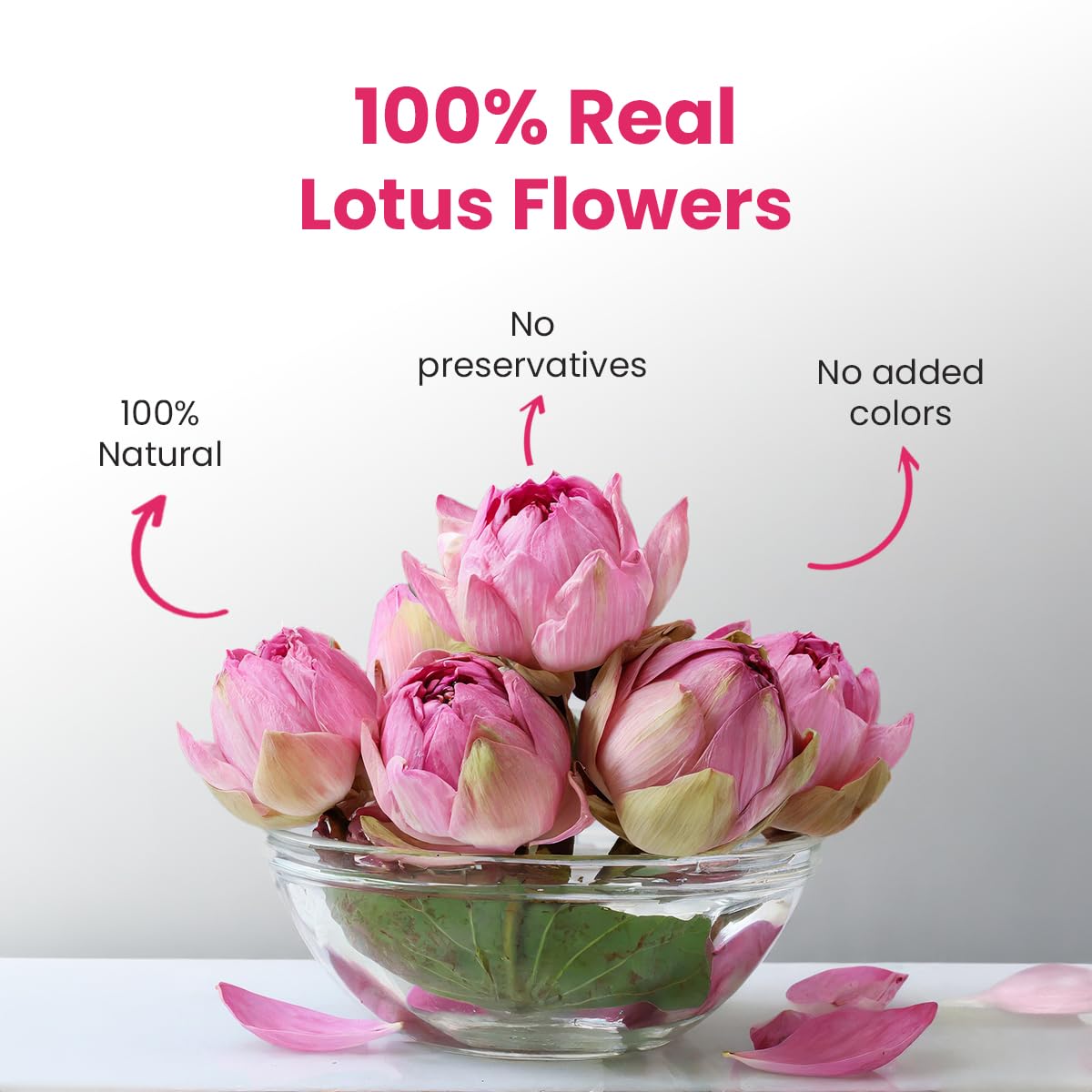 Pink Lotus Flower Tea - 20g