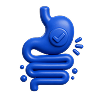 Eases Digestion, No Bloating