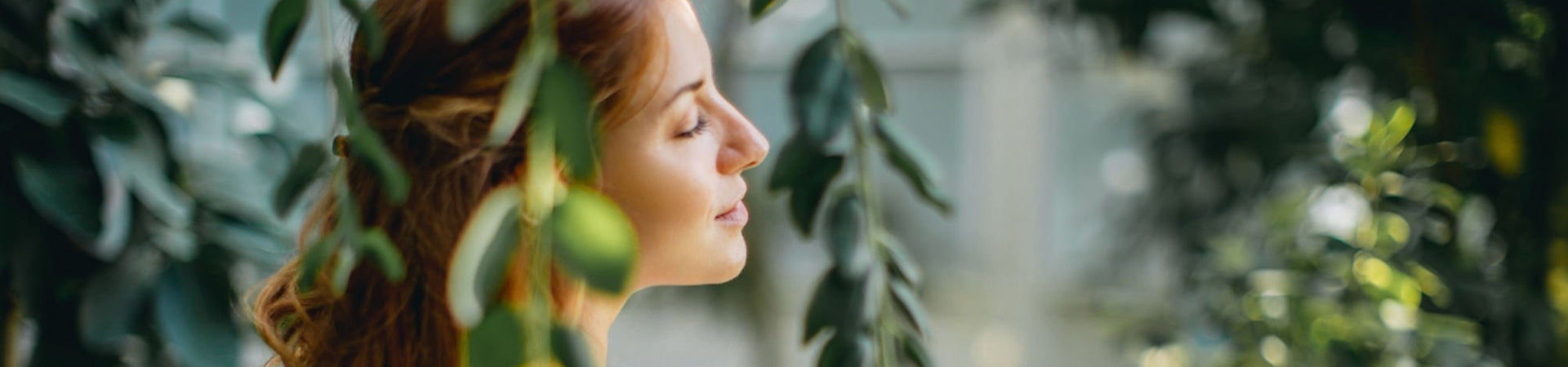 herbal tea, Indian Ayurvedic Tea, Flower Tea, Blue Tea, Blue Flower Tea, Shankhpushpi, Shark Tank Featured Tea Brand, Stress Relief Tea,