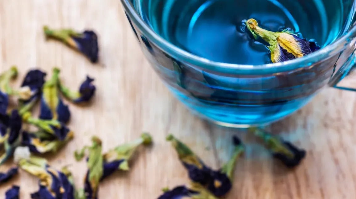butterfly pea