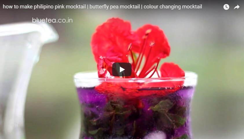 How to make Pink Mocktail | Butterfly pea Mocktail | Colour Changing Tea Cocktail- BLUE TEA