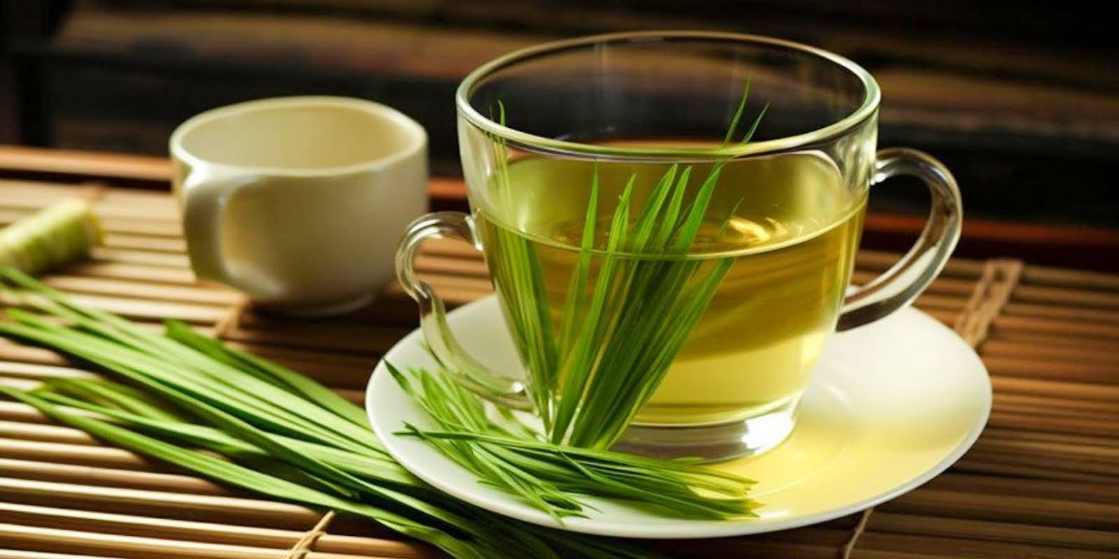 Bloating After Meals: 7 Herbal Remedies For Instant Digestive Relief