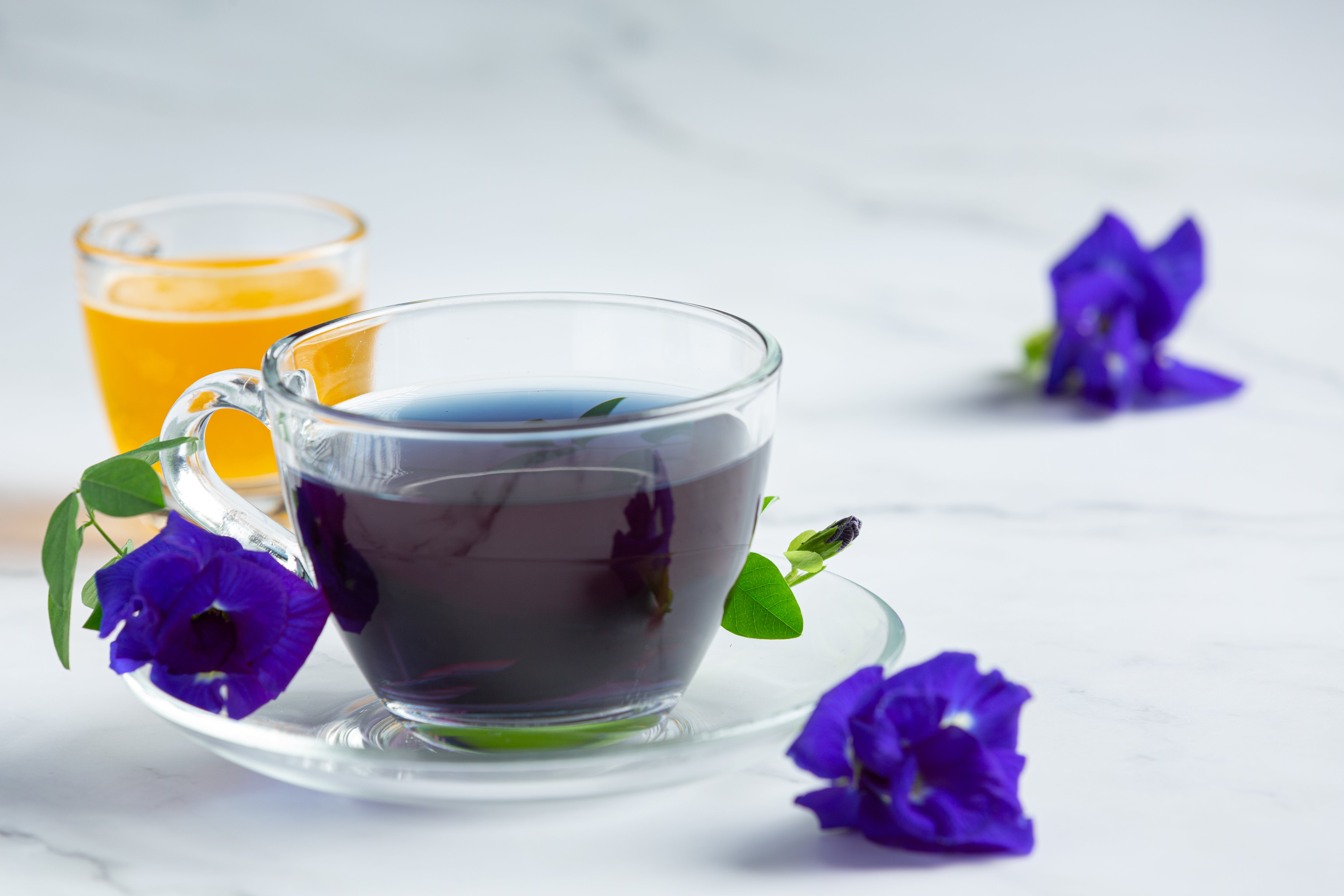 Top 7 Best Teas for Fatty Liver - Best Natural Detox Support from Blue ...