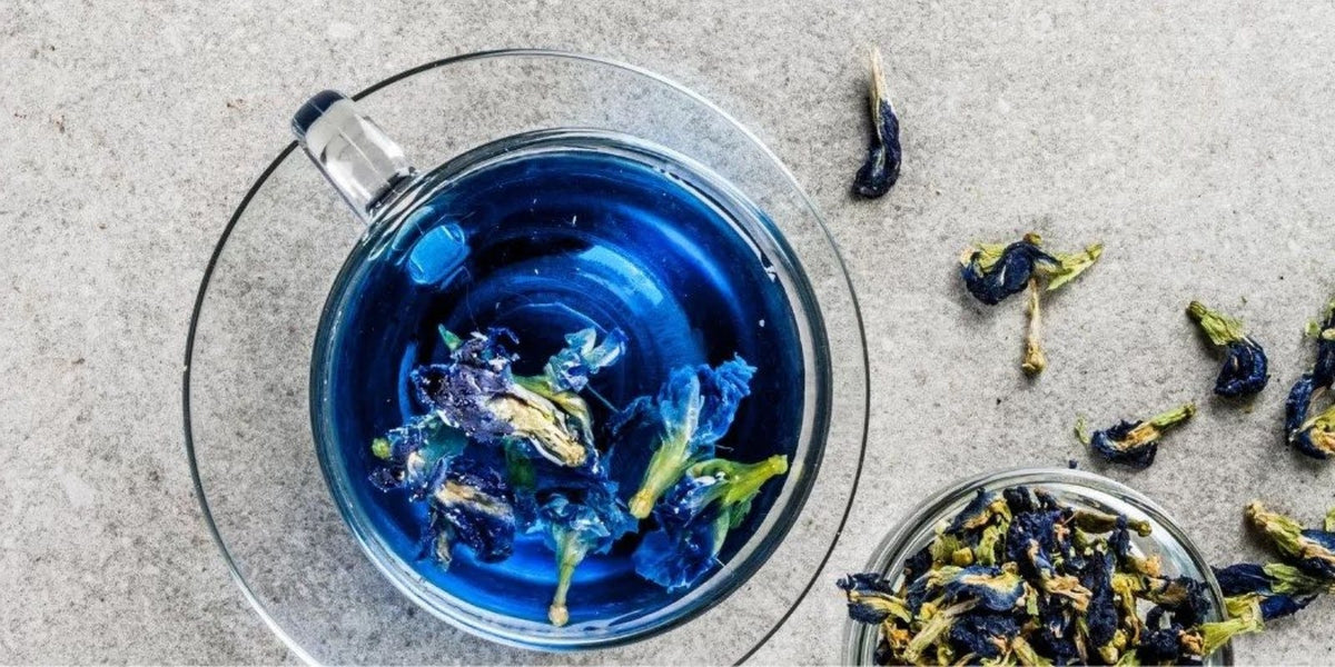Evening Ritual Tea Top 5 Aparajita/Blue Tea Benefits as per Ayurveda – Blue Tea | Health ...