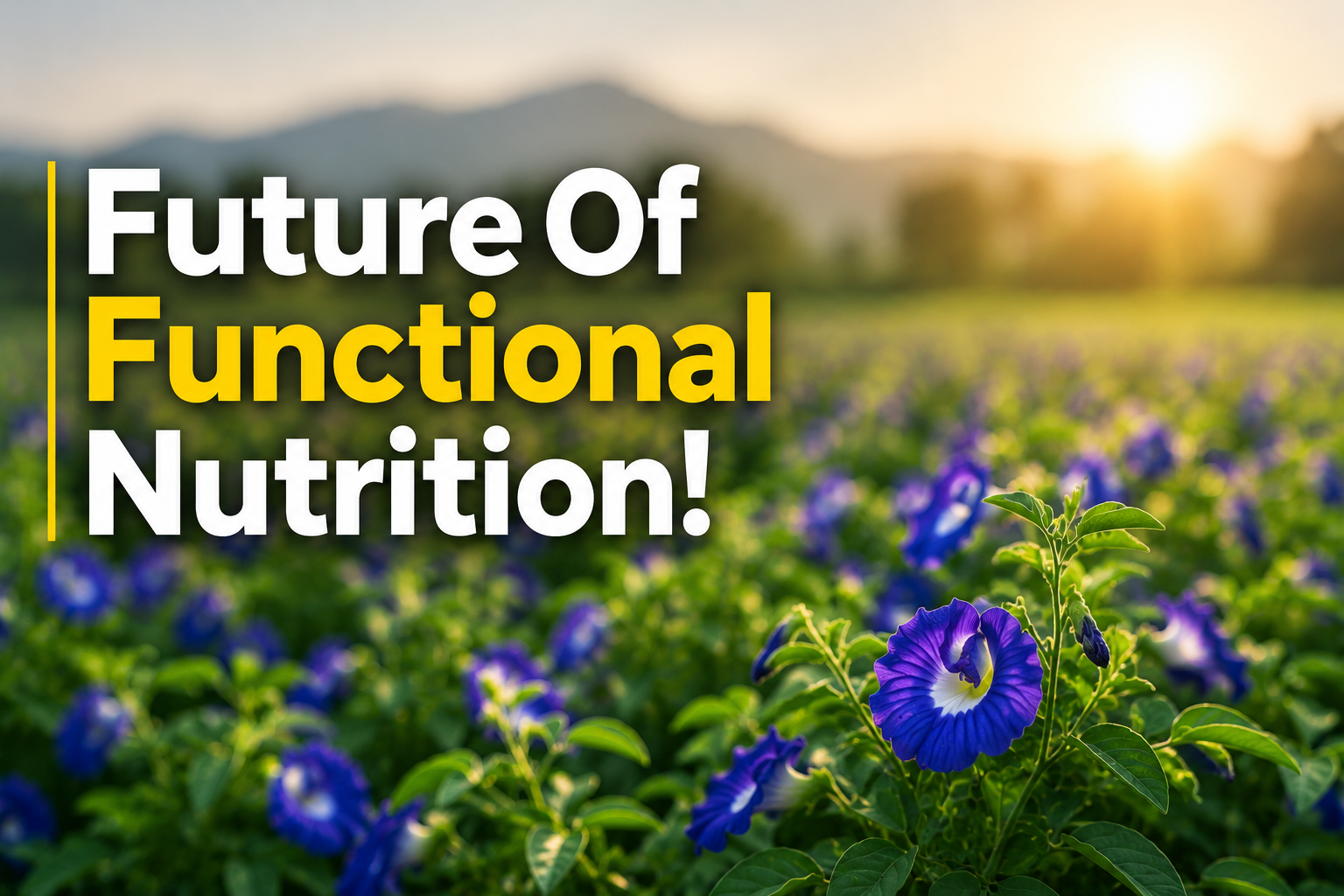 Why Rare Flowers May Be the Future of Functional Nutrition