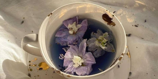 11 Health Benefits of Lavender Tea: Transform Your Wellness Routine Naturally