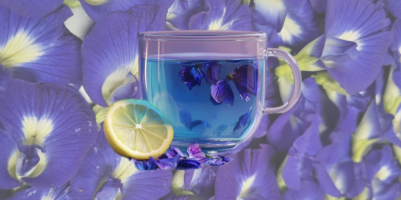 Top 5 Aparajita Tea Benefits According to Ayurveda