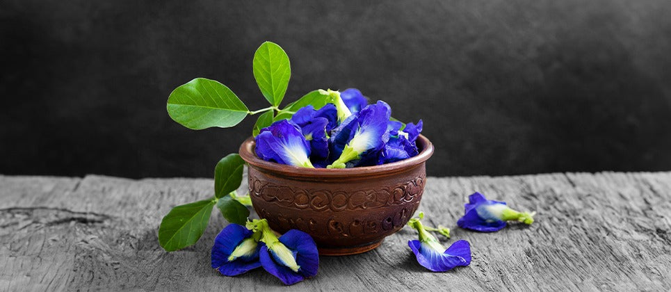 Decoding the Bitter Truth: Why Indian Green Tea Packs a Punch and Blue Tea Stays Sweet.