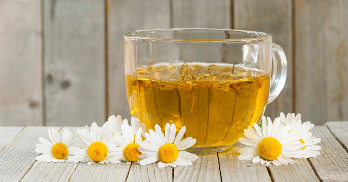 Chamomile Tea for Sleep: A Natural Way to Relax