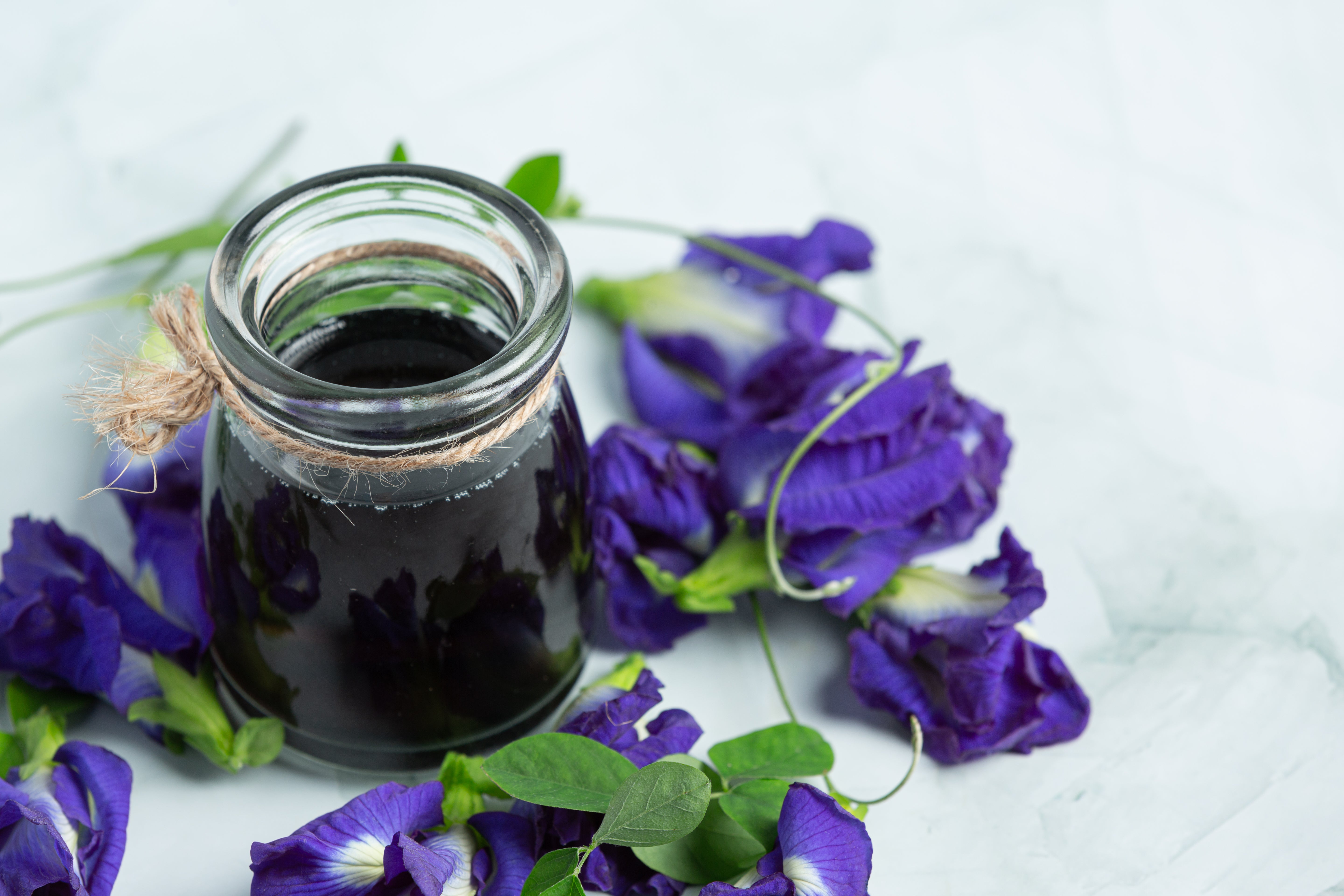 Butterfly Pea Tea for Hair Growth: Benefits, uses and facts