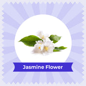jasmine tea