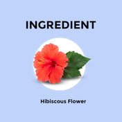 Hibiscus tea price in india