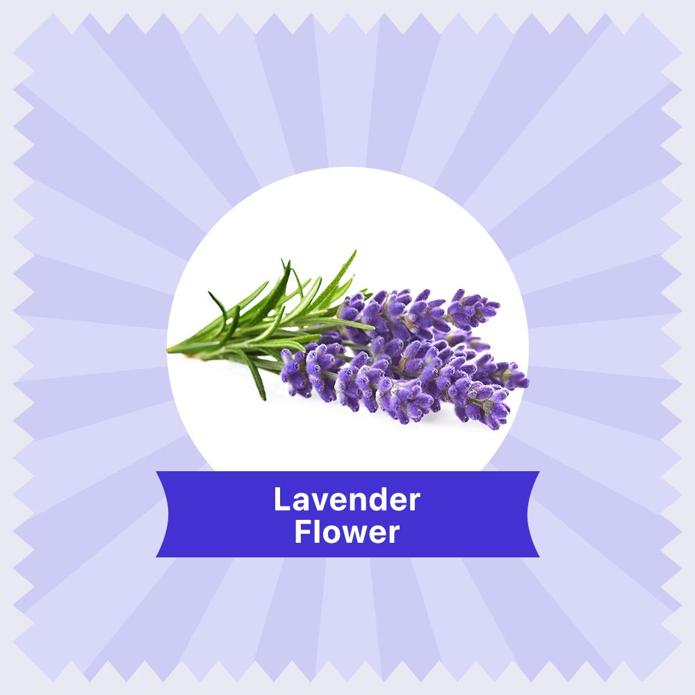 lavender tea  price