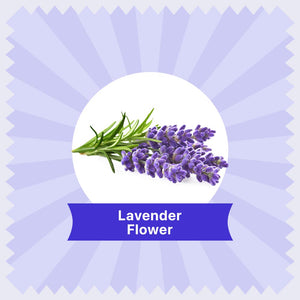 lavender tea  price
