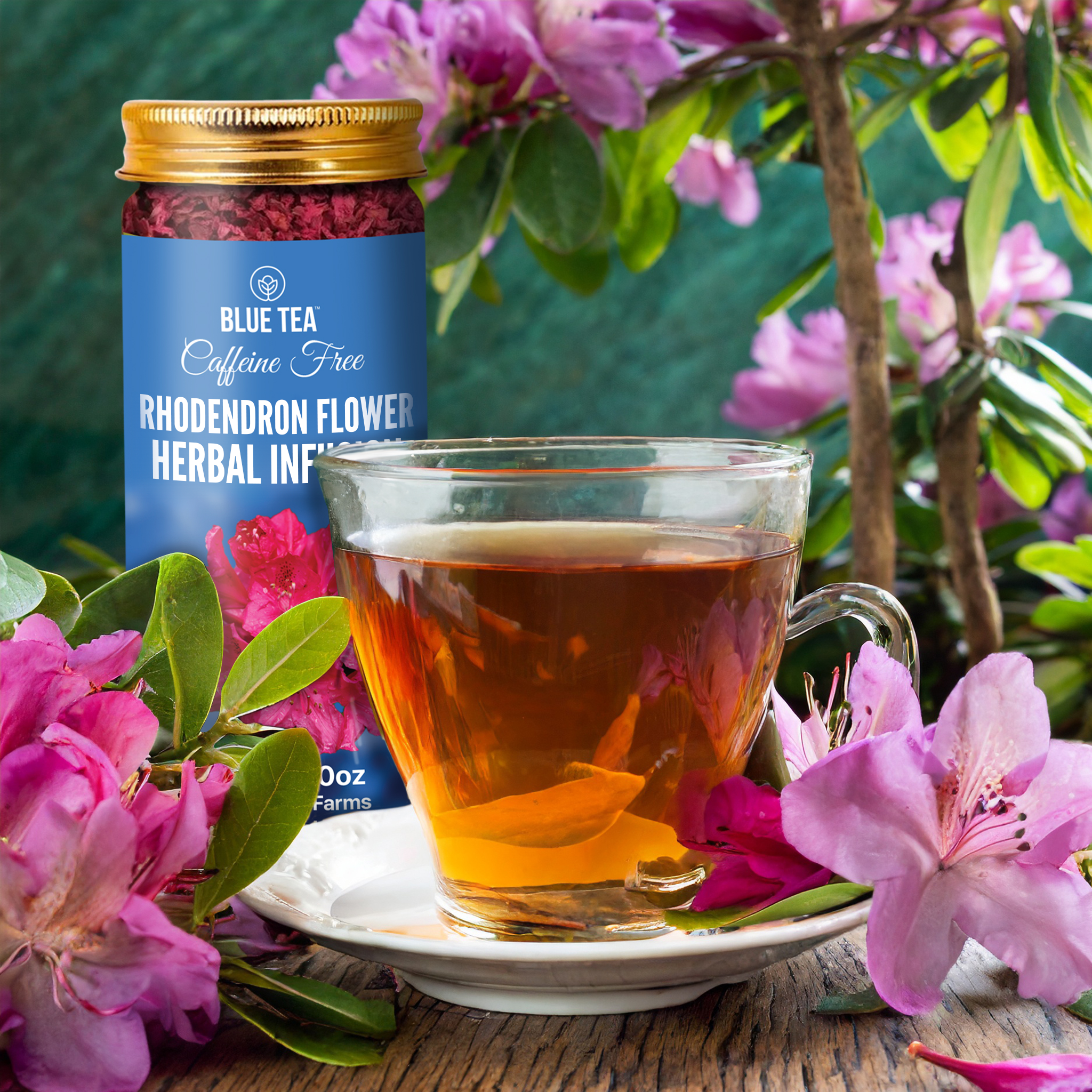 rhododendron tea